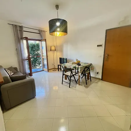 Lemon Tree House