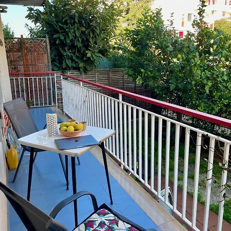 Lemon Tree House