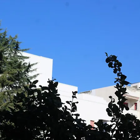 Lemon Tree House * Salerno